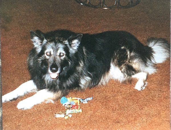 Czar Wolf
