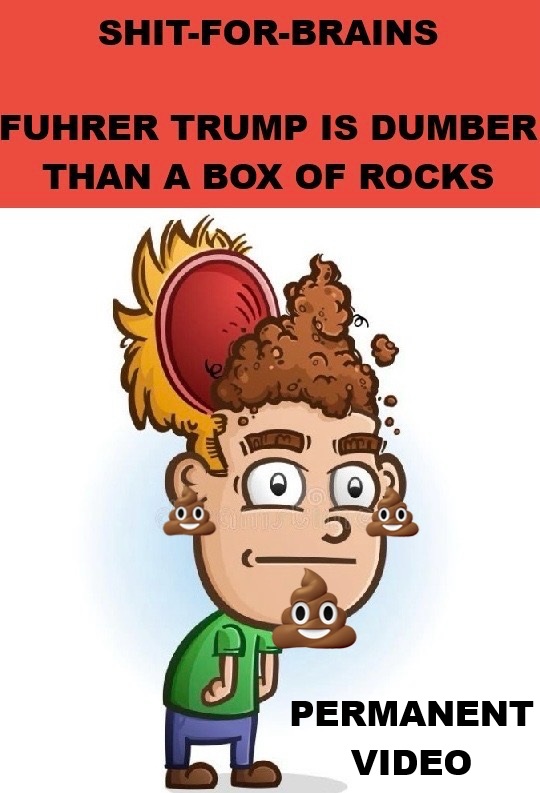 SHIT FOR BRAINS